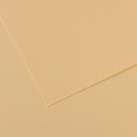 CANSON Mi-Teintes ������ ��� ������� 160�/�.�� 50*65�� �407 �������� 10�/����