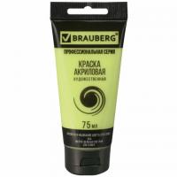 ������ ��������� �������������� BRAUBERG ART 