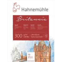 Hahnemuhle -   