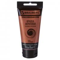 ������ ��������� �������������� BRAUBERG ART 