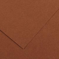 CANSON Iris Vivaldi ������ ������� 240�/�.�� 21*29.7�� �34 ���������� 50�/����