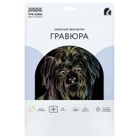 ������� � ��������������� �������� ��� ���� 