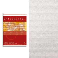 Hahnemuhle Альбом-склейка для акварели Allegretto,среднее зерно 