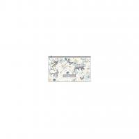 -   ErichKrause Natural Life, Card Size (   12 .)