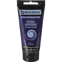 ������ ��������� �������������� BRAUBERG ART 