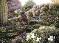 ����� ��������� 