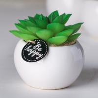 ��������� � ������������ �������� 