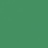 FOLIA  , 300 /2, 5070 , 10 ,  