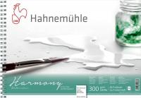 Hahnemuhle ������ ��� �������� �� ������� 