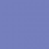 FOLIA  , 300 /2, A4, 10 , 