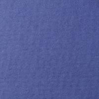 LANA Бумага для пастели «Lana Colours», 160 г/м?, 50х65 см, 25 л, королевский голубой