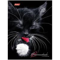 ������-������� �6 96�. 