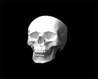 ����� �������������, ���� (���.10-164)