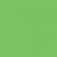 FOLIA  , 300 /2, 5070 , 10 , -