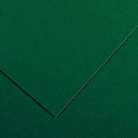 CANSON Iris Vivaldi ������ ������� 240�/�.�� 50*65�� �31 ������� ������ 25�/����