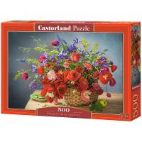   500 . Castorlnd 