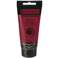 ������ ��������� �������������� BRAUBERG ART 