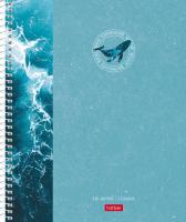 ������� �5 120 �. ��. ���. �� ������� Soft-touch-����������� 4 ��. ����������� ���������� ���������