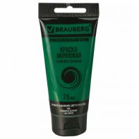 ������ ��������� �������������� BRAUBERG ART 