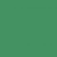 FOLIA  , 300 /2, A4, 10 ,  