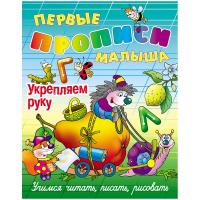 Первые прописи малыша А4 Книжный Дом 
