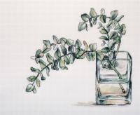 ����� ��� ��������� 