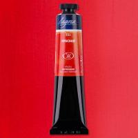 ������ ����� 46�� �������