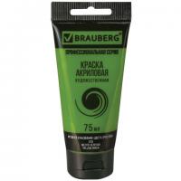 ������ ��������� �������������� BRAUBERG ART 