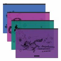 -   ErichKrause Zen Cats, A4,  (   12 .)