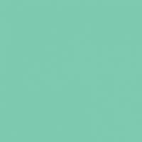 FOLIA  , 300 /2, A4, 10 , 