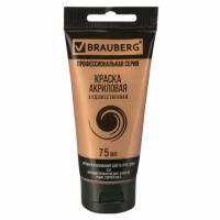 ������ ��������� �������������� BRAUBERG ART 