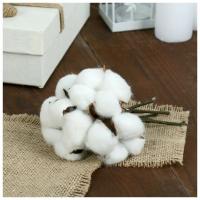 ����� ��� ����������, 8 �� d-5��, �����-����� 4 �������, ������