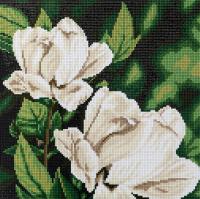 ����� �� ������������ ������� �� ���������� � ������� 