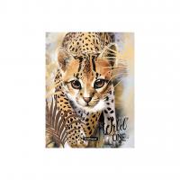  20  ErichKrause Wild Cat,  A4