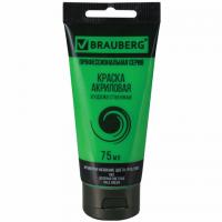 ������ ��������� �������������� BRAUBERG ART 