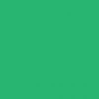 FOLIA  , 300 /2, A4, 10 ,  