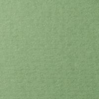 LANA ������ ��� �������, 160�, 42�29,7, ������� ���