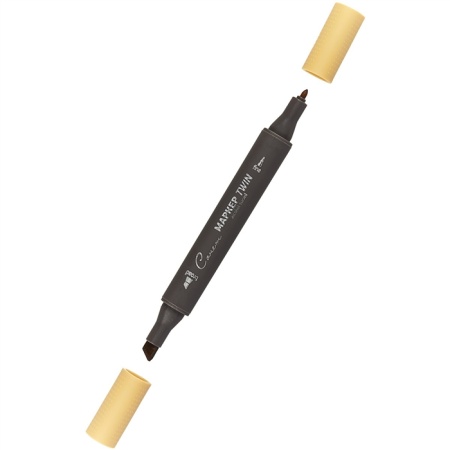 ����� ������ TWIN ��������������, ���� �������