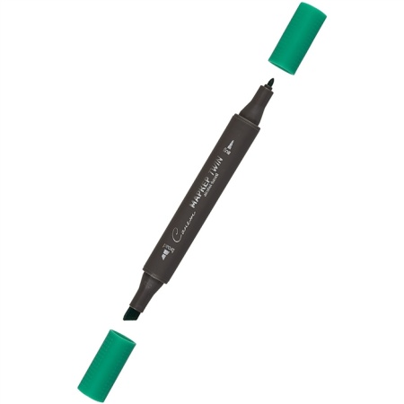 ����� ������ TWIN ��������������, ���������-�������