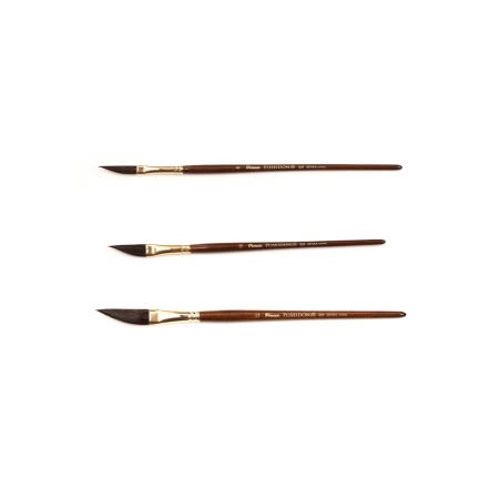 ����� Pinax POSEIDON ����� ���� ������ ������ N 10