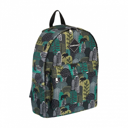 ������ ErichKrause� EasyLine� 17L Siberia