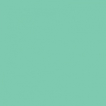 FOLIA  , 300 /2, A4, 10 , 