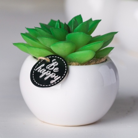 ��������� � ������������ �������� 