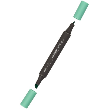 ����� ������ TWIN ��������������, �����-�������