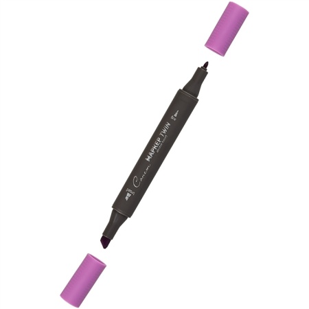 ����� ������ TWIN ��������������, ������ �������