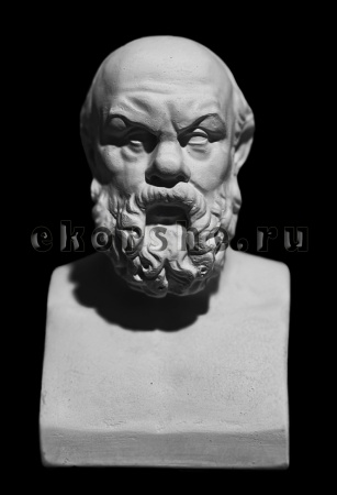 ���� ������� �����