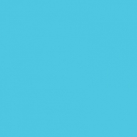 FOLIA  , 300 /2, A4, 10 ,  