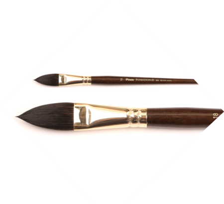  Pinax POSEIDON     N 24