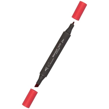 ����� ������ TWIN ��������������, ������