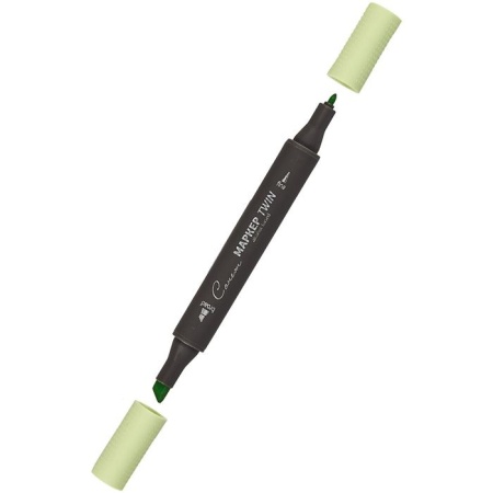 ����� ������ TWIN ��������������, �����������